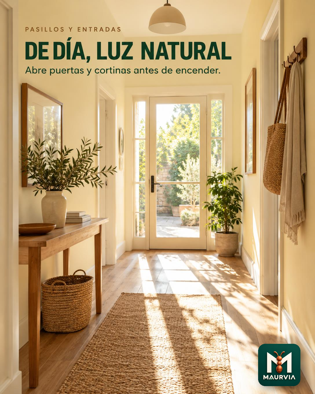 Aprovecha la luz natural en zonas de paso