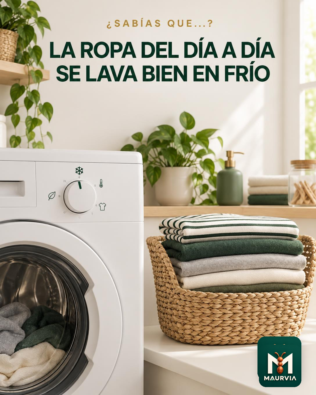 Lava en frío la ropa del día a día